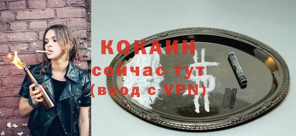 ешки Богданович