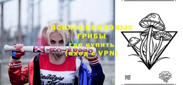 ГАЛЛЮЦИНОГЕННЫЕ ГРИБЫ Богородск