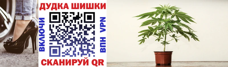 МАРИХУАНА план Верхний Тагил